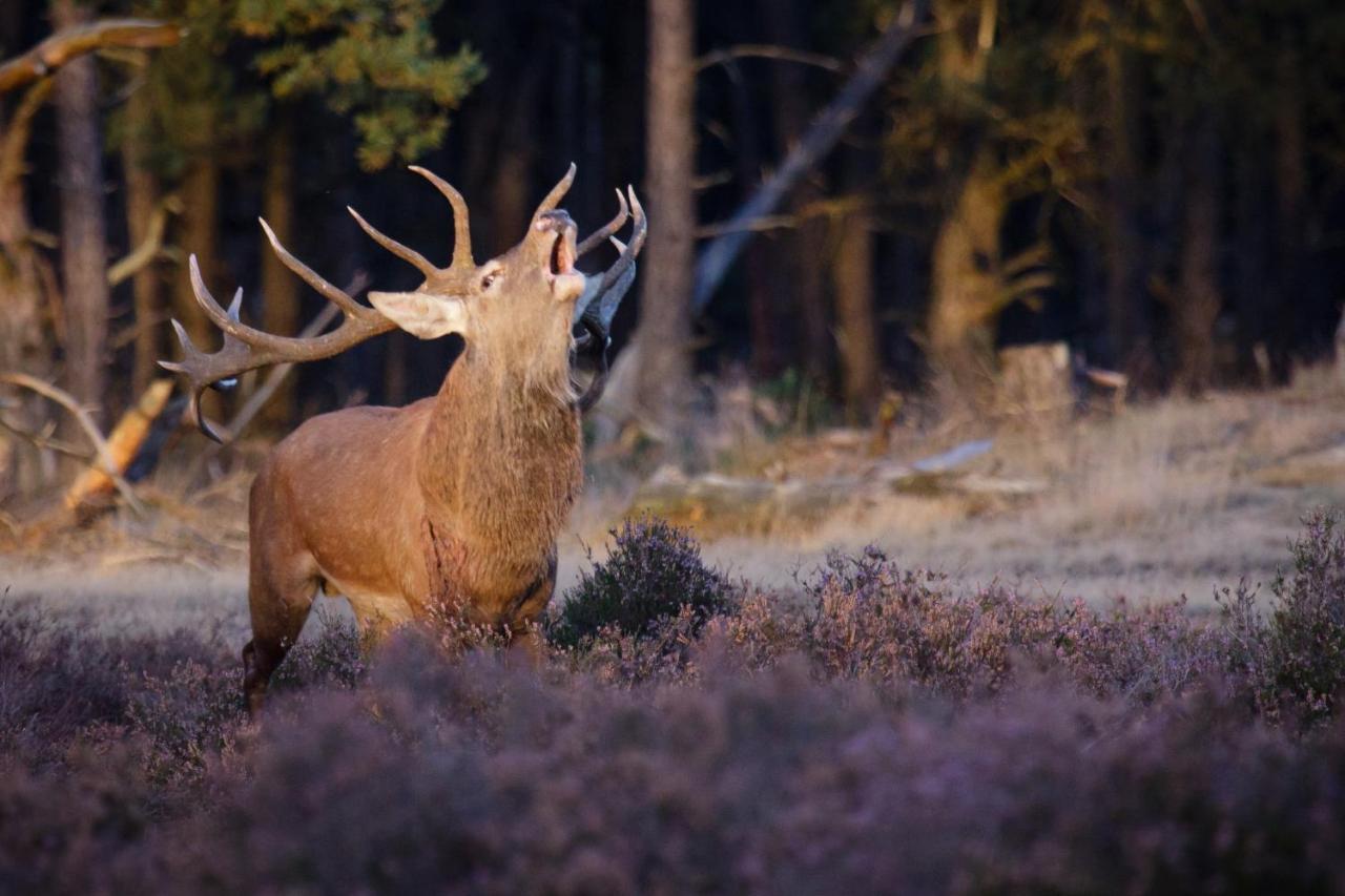 Enjoy Nature, Nice Stay And Beautiful Surroundings Пюттен Экстерьер фото